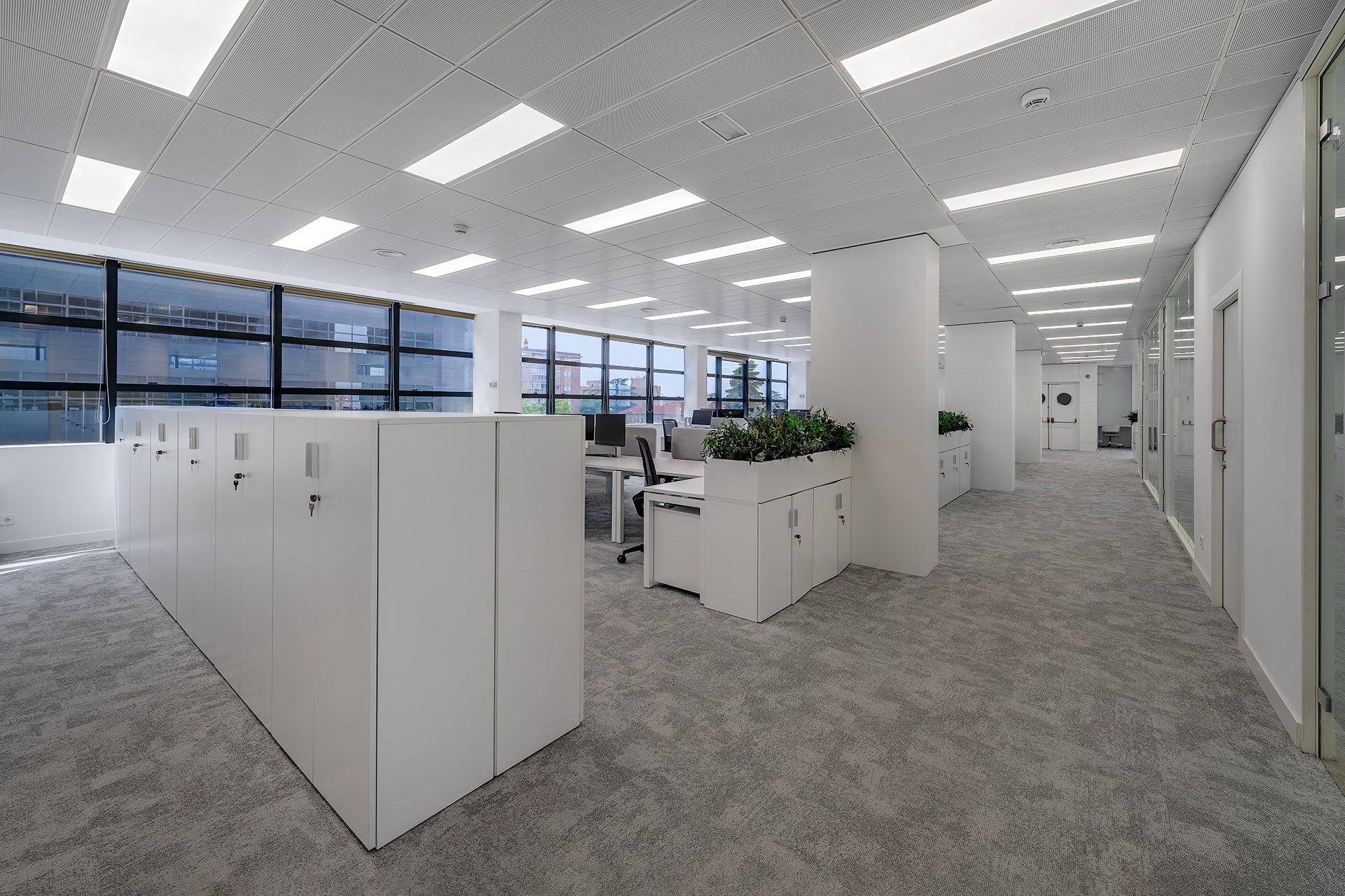 ARESBANK_03_BAJA