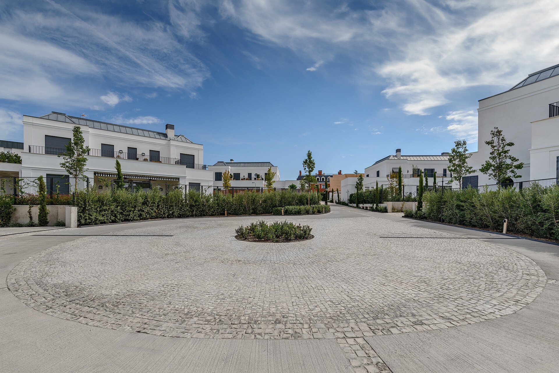 BELLATRIX_16_11_BAJA